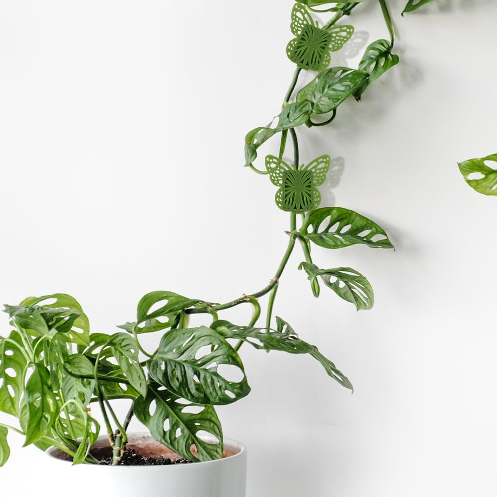 Plant Climbing Wall Fixture Clips, 2026 New Butterfly Leaf Shape Wall Plant Support Hook, Invisible Plant Support Clips Vine Traction Holders for Climbing Plants Indoor Outdoor (200 PCS, Butterfly)