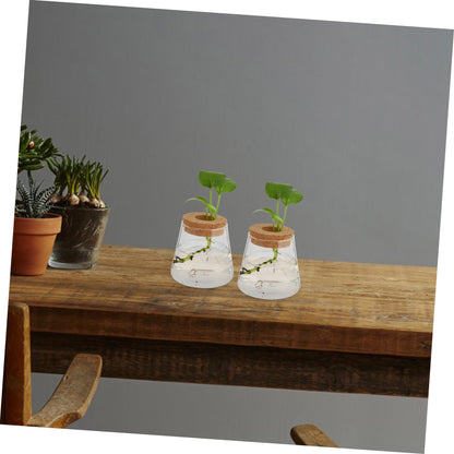 Ipetboom 2Pcs Glass Hydroponics Vase for Desktop Plant Propagation Home Decoration Terrarium Planter with Smooth Finish Stylish Glass Bottles for Floral Arrangement and Gift Ideas