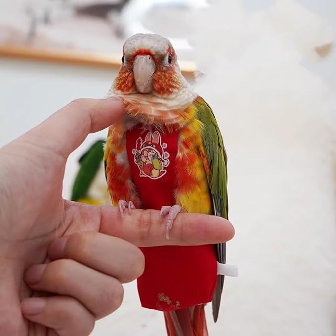 MANON ROSA Bird Diapers Leash Set Washable Reusable Handmade Flight Suit Waterproof Inner Layer - Protective Parrot Nappy Clothes Parakeets Macaws Budgies Canaries (Yellow2,Zebra Finch)