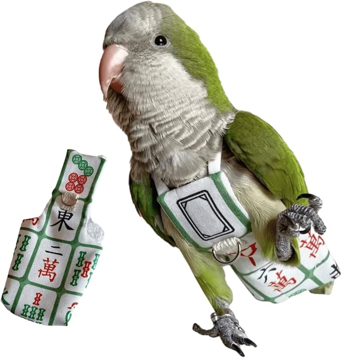 Bird Diaper Harness Flight Suit Clothes, Parrot Flight Suit with Leash for Parrot, Bird Flying Clothes with Rope and Handle for Outdoor Activities Training (Without Leash,Common Hill Myna)