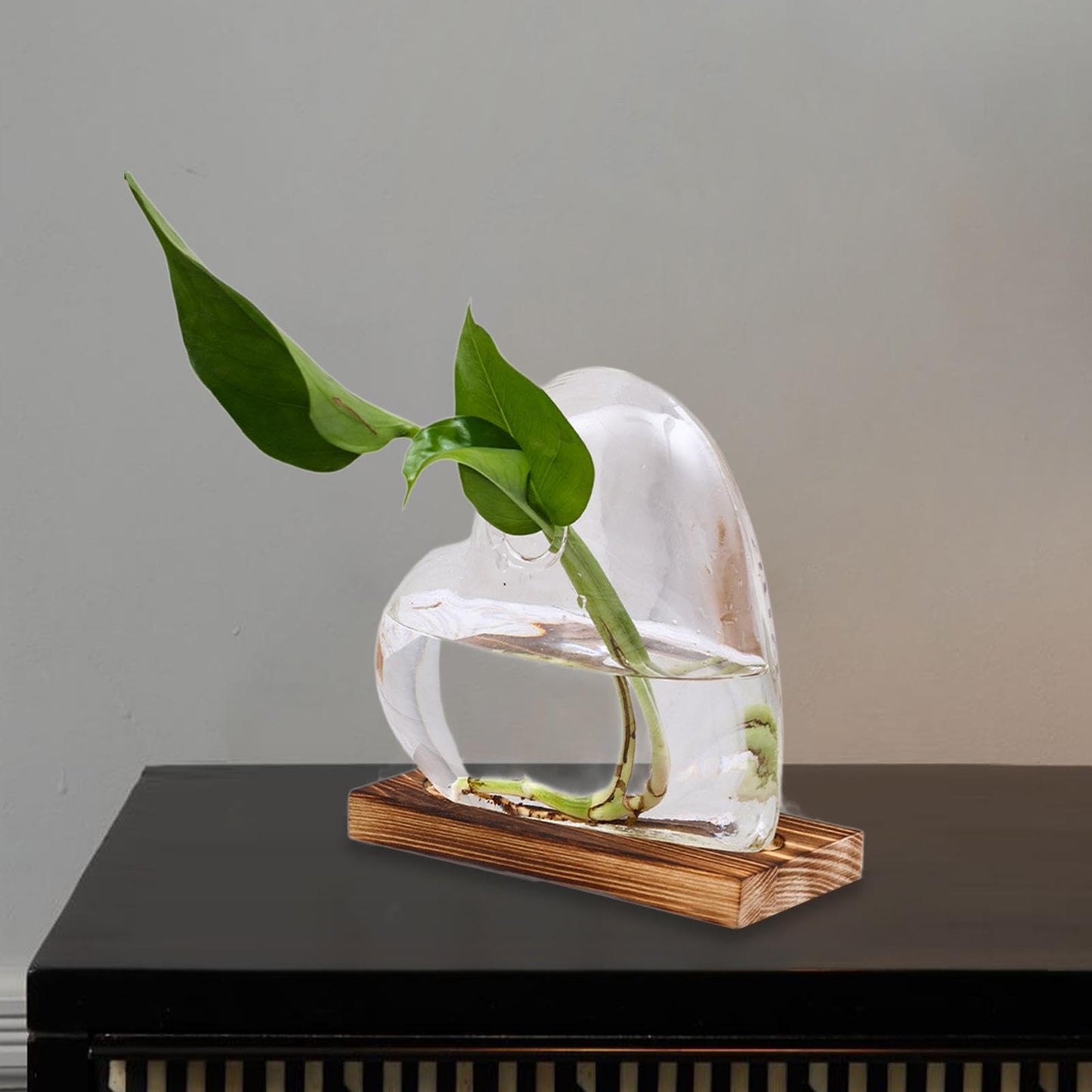 Heart Shaped Glass Vase with Wooden Base, Plant Terrarium Propagation Station for Windowsill Desk Decor (5.1x4.7 inch)