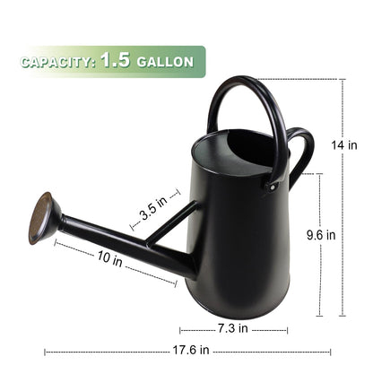 Watering Can for Outdoor&Indoor Plants，1.5 Gallon（5.7L） Metal Watering Can with with Removable Spout，Large Galvanized Steel Garden Flower Water Can Watering Pot with 2 Handles ，Black