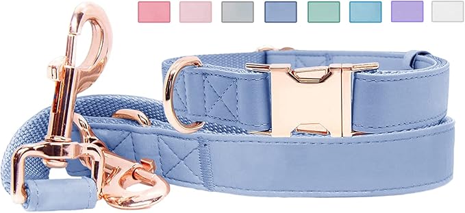 Soft Leather Dog Collar and Leash (6.6') Set - Stylish Rose Gold Heavy Duty Metal Buckle, 4 Adjustable Lengths Leash for Small Medium Large Dogs - Comfortable & Easy to Clean Blue Purple XS(8"-12")