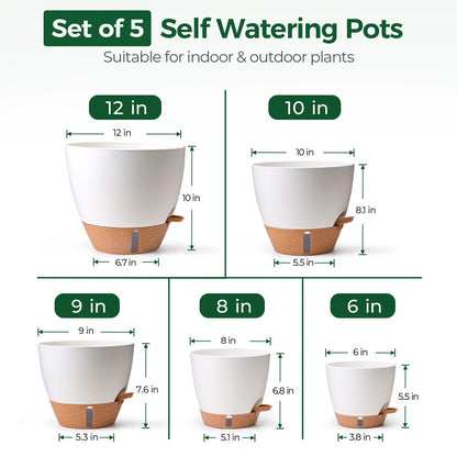 T4U 5 Pack Self Watering Pots (6"+8"+9"+10"+12") - Water Level Indicator & Deep Reservoir, Mess-Free Planters for Busy People, Beginners & Gardeners, Fit Most Plants, Indoor Outdoor Use (White)