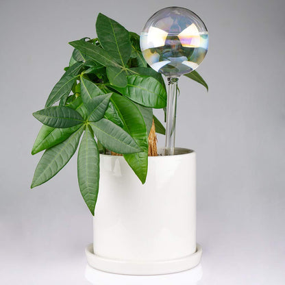 Tomorotec [2 PCS] Light Iridescent Rainbow Gradient Color Clear Glass Self-Watering System Spikes, Automatic Plant Waterer Bulbs