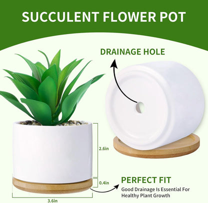 Haooxinwei Funny planters for Indoor Plants Garden Succulent Pots, with Drainage Holes and Saucer(No Plants) (Feeling Cute Might Die Later)