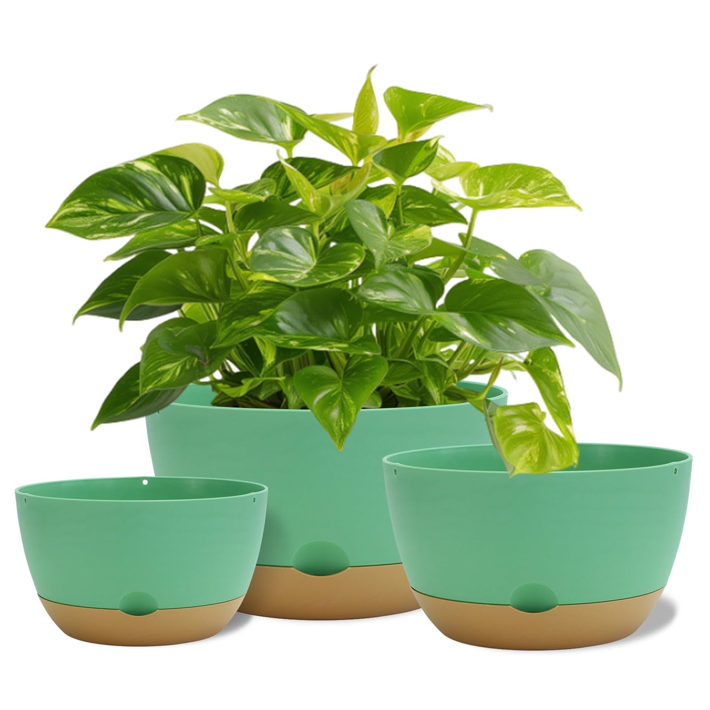 Koalaime 8/10/12 Inch Pots for Indoor Plants, Large Self Watering Planters with Drainage and Saucers, Plastic Outdoor Flower Pot, Set of 3, Green