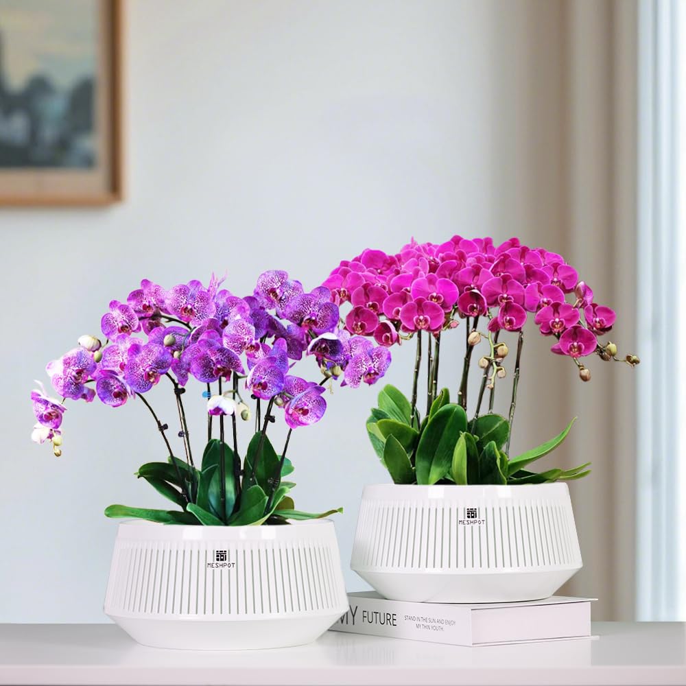 Meshpot 8 inch Orchid Pots with Holes for Repotting,Set of 1,Decorative African Violet Pots with Air-Pruning and Good Air Circulation,Plastic White Orchid Planter with Saucers