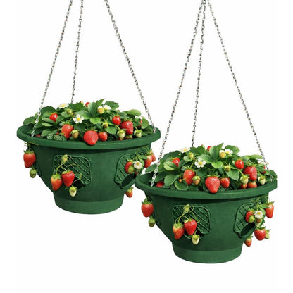 smart spring Ultimate Hanging Basket Strawberry & Flower Planter – 6 Side Planting Spaces, Drainage Hole, 1” Water Reservoir, Zinc-Plated Chain Included, Made in the USA (Deep Forest)
