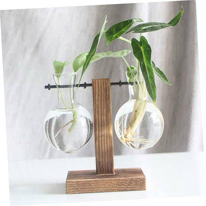 Kisangel Hydroponic Glass Flower Vase with Wooden Stand 2pcs Planter Pot for Indoor Plants Modern Terrarium for Home and Office Decoration
