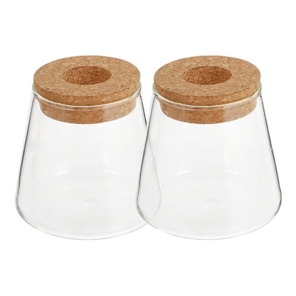 FOMIYES 2pcs Hydroponic Plants Vase Glass Terrarium Round Flower Vase 6.5cm Mouth Diameter Desktop Planter for Indoor Hydroponics Home Office Décor