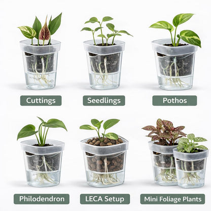 TNDCKP Mini Self Watering Pots 2.5” (10 Pack), Clear Double-Layer Planters with Anti-Root Rot Design, Continuous Watering System, Includes Cleaning Brush for Indoor Plants, Office & Travel
