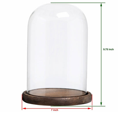 MyGift The Bell Jar Glass Cloche with Rustic Wood Base, 10 Inch Tall Clear Decorative Glass Dome Display for Plants, Curios, Keepsakes, Heirlooms