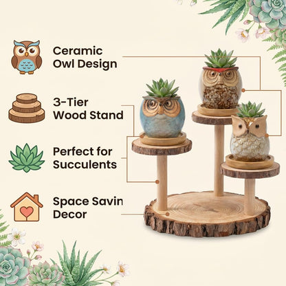2.5"mini ceramic Cute Owl Animal Succulent Flower Pot Outdoor Bamboo Wooden Small Planter Stand Gift Set for Home,Office,Living Room,Bedroom Decoration,Windowsill,Indoor Desk,Kitchen Decor (3 Tier)