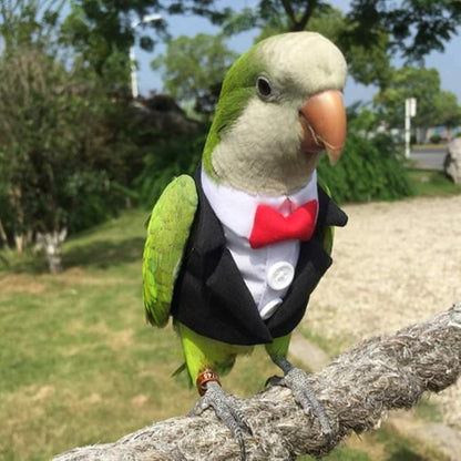 Bird Clothes Birds Flight Suit,Tuxedo Business Suit for Parrots African Greys Parakeet Cockatiel Sun Conure Christmas Party Birthday Cosplay Photo Prop Small Animals Apparel (3XL,Black Suit)