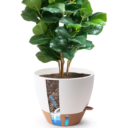 T4U 12 Inch Self Watering Pot - Water Level Indicator & Deep Reservoir, Mess-Free Planter for Busy People, Beginners & Gardeners, Fits Rubber Tree/Fiddle Leaf Fig Plants, Indoor Outdoor Use (White)