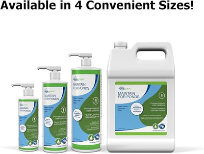 Aquascape Maintain Water Treatment for Koi and Fish Ponds, Easy to Use, Powerful Blend of Beneficial Bacteria, Phosphate Binder, Flocculant, and Detoxifier, 16 Ounce / 473 ml, 96058