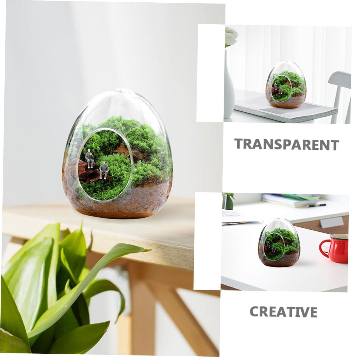 POPETPOP Glass Plant Propagation Station for Home Office Terrarium Supplies Eco Bottle