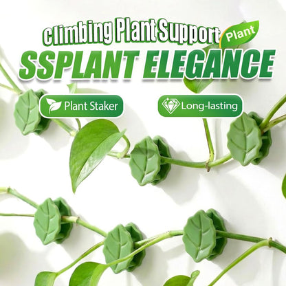 30 Pcs Plant Climbing Wall Fixture Clips with Acrylic Adhesive Stickers, Leaf Fixer Invisible Wall Vines Fixing Clips Self-Adhesive Hook Plant Vine Traction for Indoor Outdoor Decoration (30 Pcs)