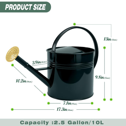 LONGRUN 2.5 Gallon Dark Green Metal Watering Can for Plants and Garden with Removable Spout, Made of Galvanized Iron