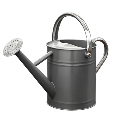 SunnyTong Metal Watering Can for Outdoor and Indoor Plants, Watering Can Decor, 1 Gallon (Gray)