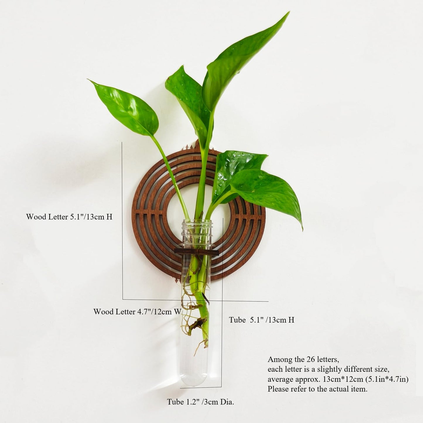 Home Letter Wall Propagation Planters Test Tubes Wall Decor for Hanging Plants Clear Water Plant Vase Brown Wood Water Propagation Station 4 Pack