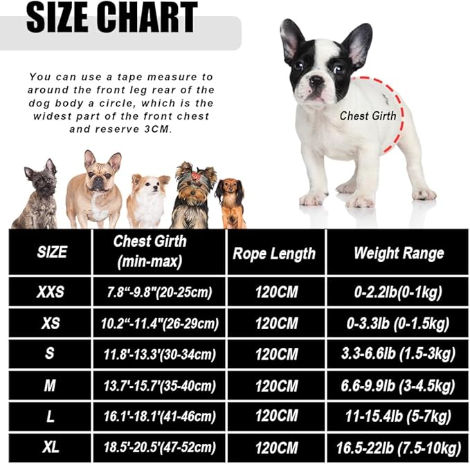 FEimaX Dog Harness and Leash Set for Walking, Soft Mesh Adjustable Easy Control Lightweight Cat Vest Harnesses with Reflective Strips, Escape Proof Small Dogs Cats Vests (Black, Small)