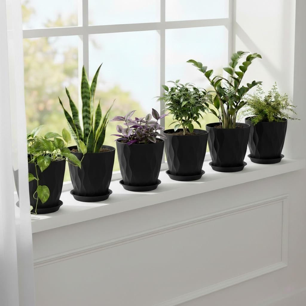 LESOASIS Plant Pots 8 Inch, 6 Pack Plastic Flower Pots for Indoor & Outdoor Plants, Planters with Drainage Holes and Saucer, Garden Pot for Plants(Black)