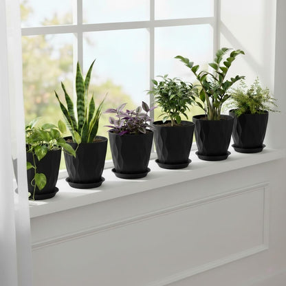 LESOASIS Plant Pots 8 Inch, 6 Pack Plastic Flower Pots for Indoor & Outdoor Plants, Planters with Drainage Holes and Saucer, Garden Pot for Plants(Black)