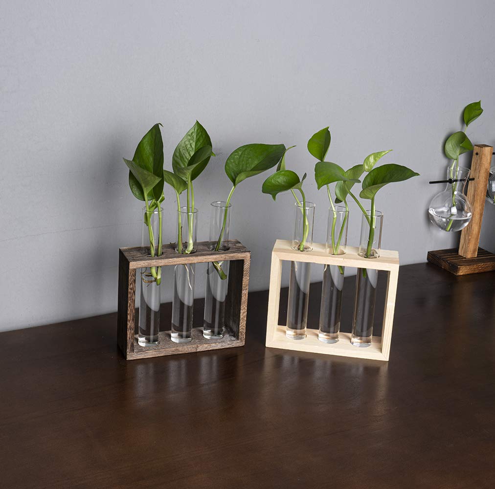 PACDONA Wooden Propagation Station with 3 Glass Test Tubes, Tabletop Glass Terrarium Holder for Cuttings Hydroponics, Home Office Desk Decor Gift for Women Mom Plant Lovers, Brown