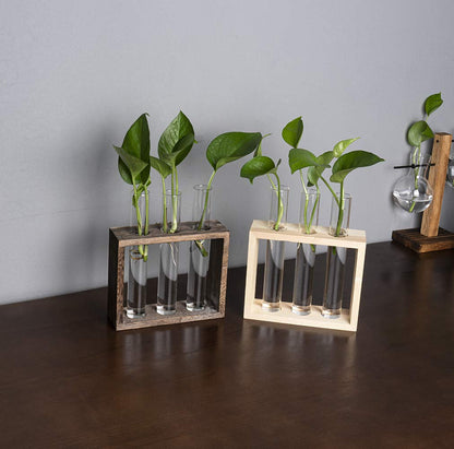 PACDONA Wooden Propagation Station with 3 Glass Test Tubes, Tabletop Glass Terrarium Holder for Cuttings Hydroponics, Home Office Desk Decor Gift for Women Mom Plant Lovers, Brown