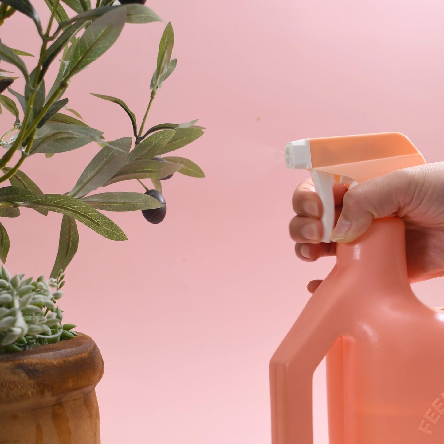 PETAL & FLOW Spray Sprinkler 2-in-1 Watering Can & Plant Mister Spray Bottle for Indoor & Outdoor Plants, 0.4 Gal (1.6L)(Apricot Pink)