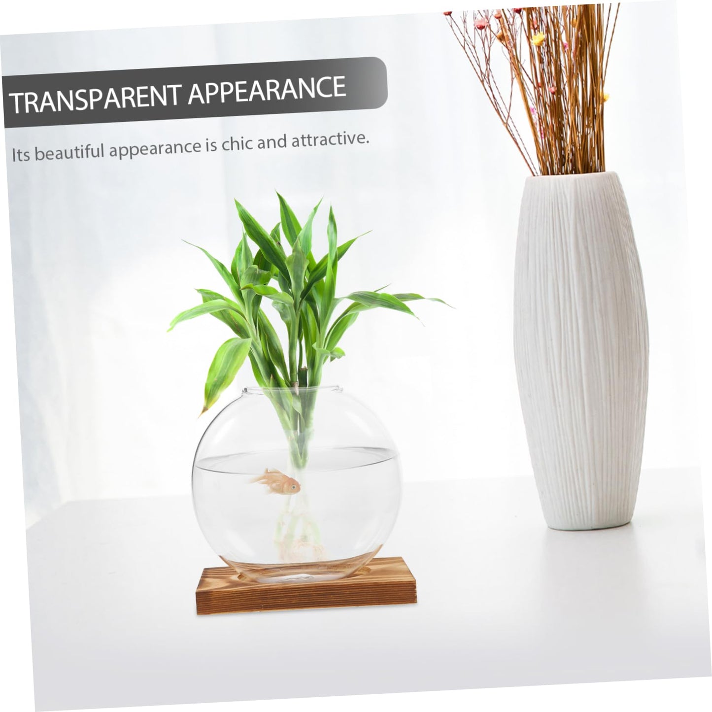BESTonZON 1piece Modern Plant Decor Hydroponic Vase Glass Terrarium Jar Terrarium Container Creative Propagation Vase Plant Window