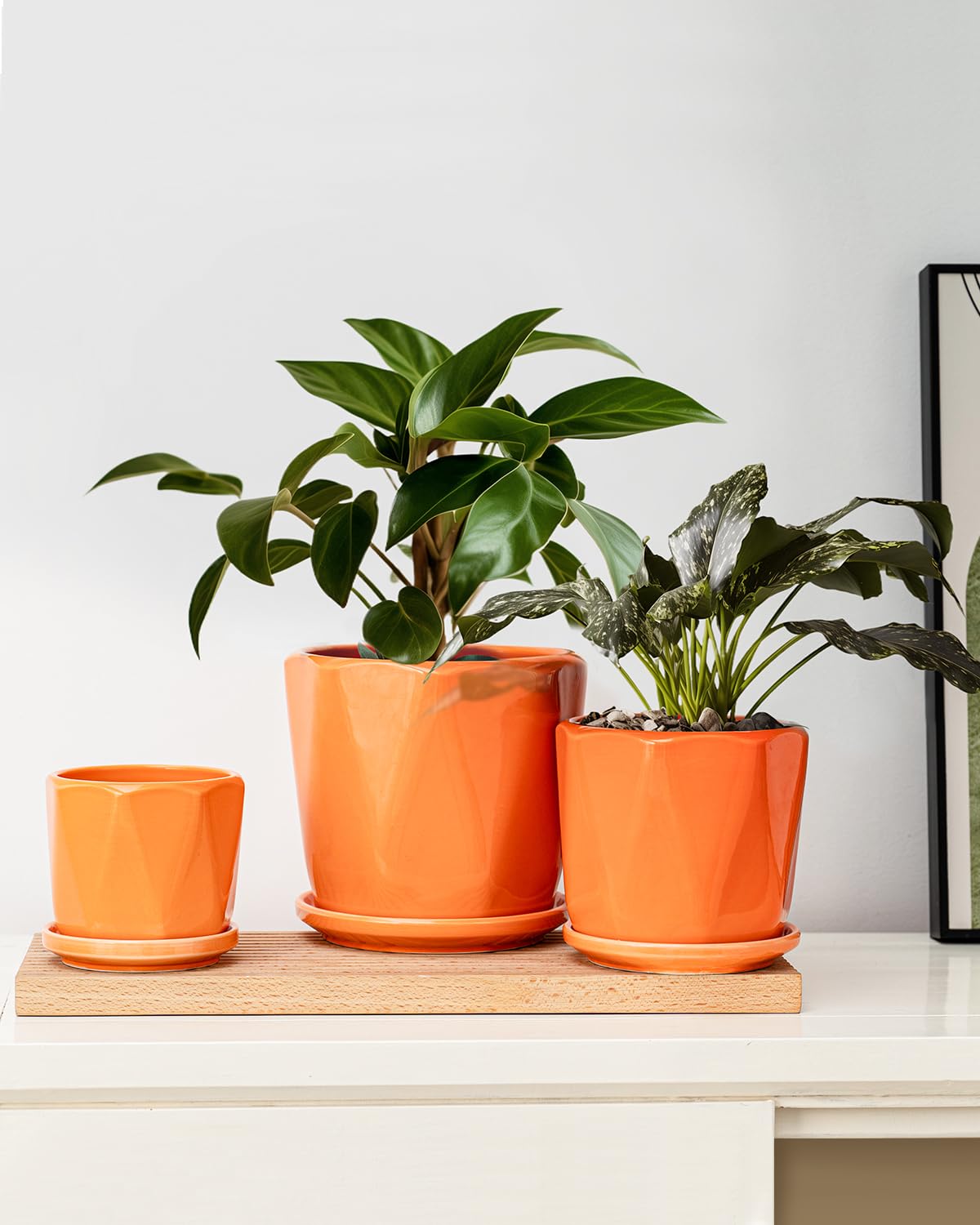 Ton Sin Ceramic Plant Pots Indoor Planters White Orange Set of 3 4