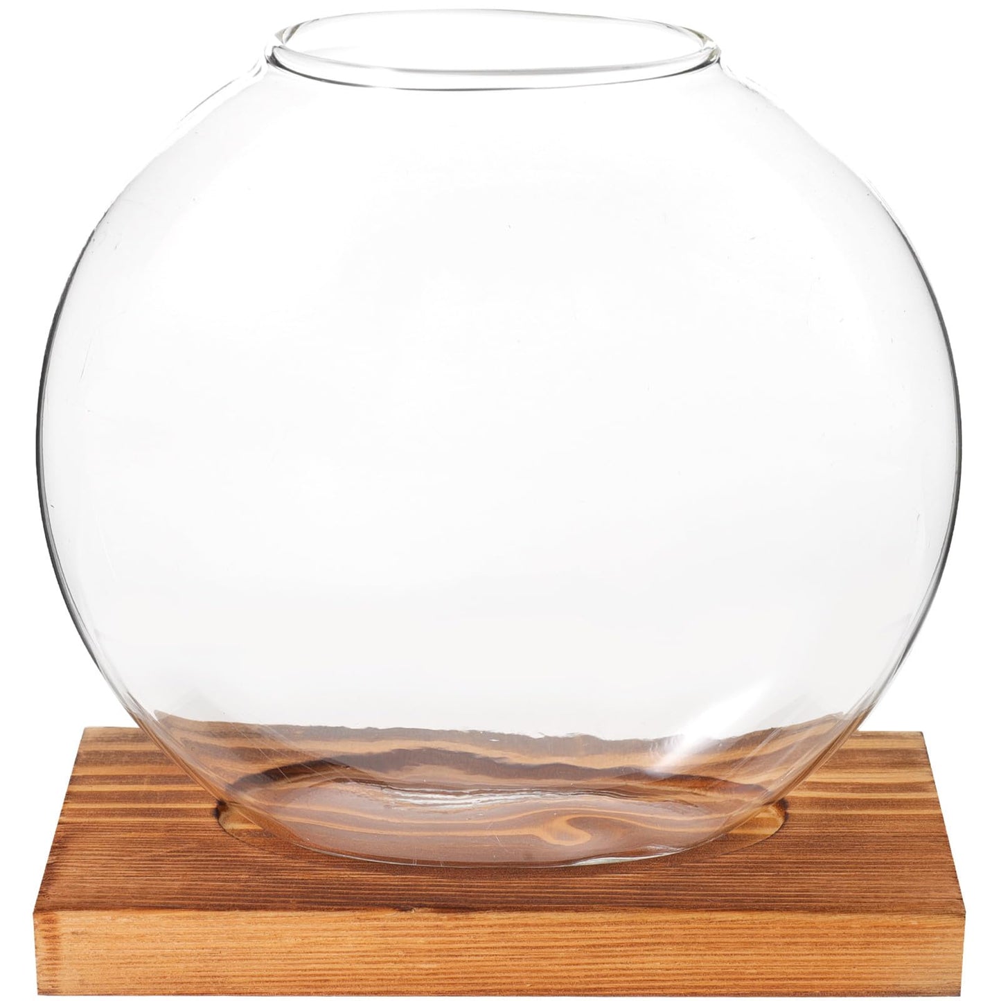 LALADEFIEE Desktop Glass Hydroponic Plant Vase with Retro Wood Base, Scindapsus Aureus Terrarium Planter for Office and Home Décor