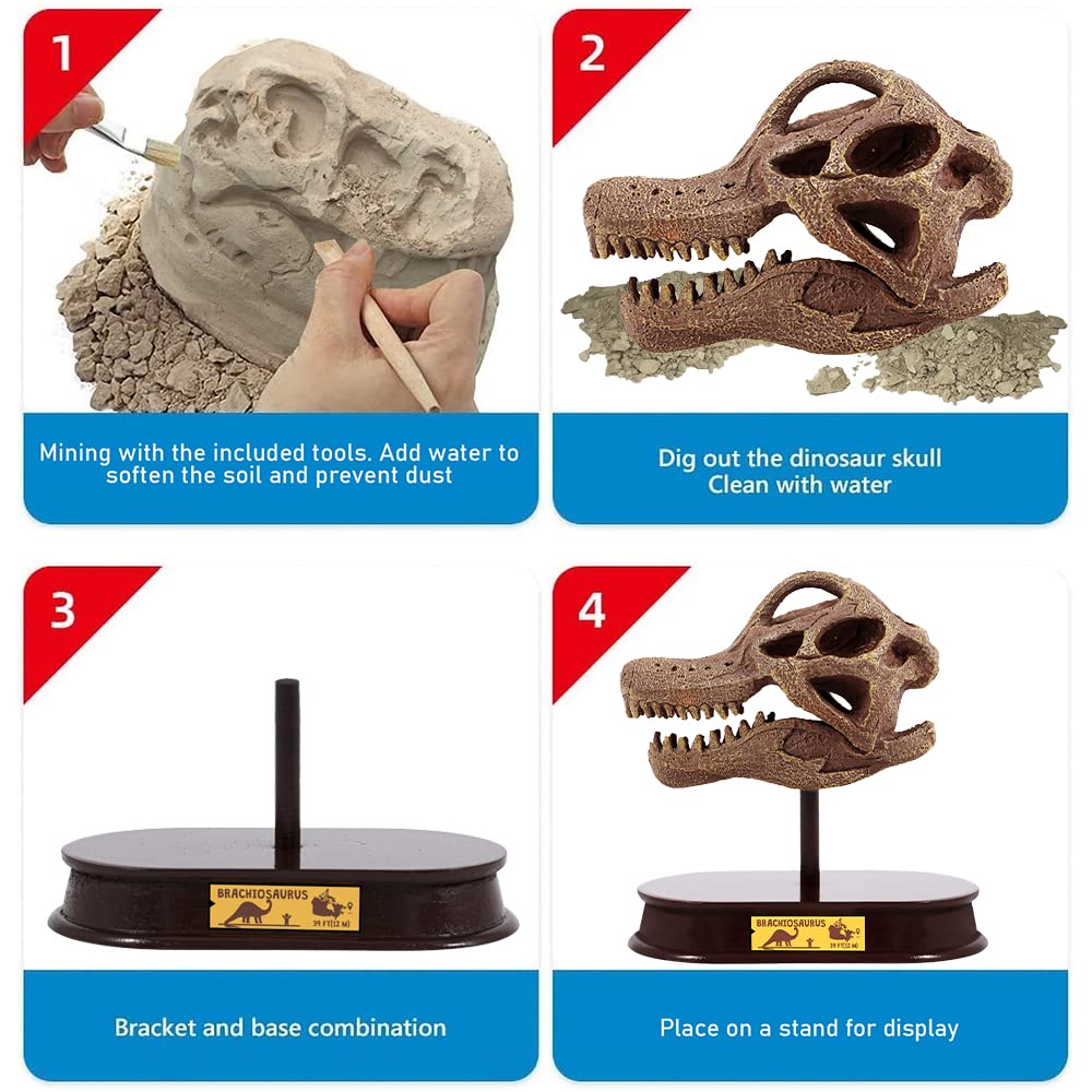 ArtCreativity Dinosaur Excavation Kit for Kids, Brachiosaurus Skull Excavating Set with Fossil Digging Tools and Stand, Fun Science Activity Toy, Educational Dinosaur Gift for Boys and Girls