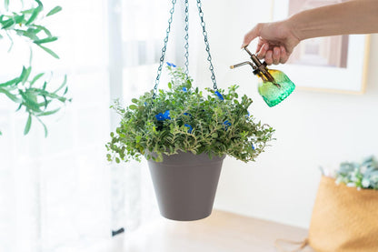 Melphoe Hanging Planters Outdoor and Indoor