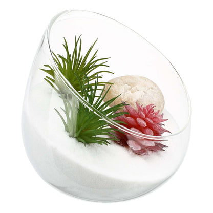 MOTHNUR Micro Landscape Ecological Bottle Transparent Glass Terrarium for Succulent Plants Elegant Decor Durable Eco-Friendly Design Nature Lovers