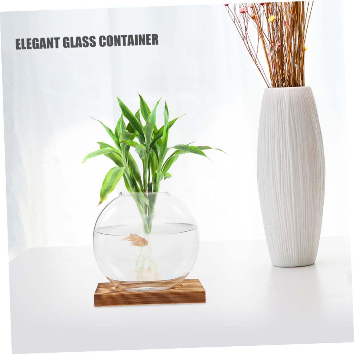 JUMPLAWN 2pcs Hydroponic Glass Vases with Wooden Bases for Desktop Plant Propagation Plant Terrariums Suitable for Home Office Balcony Decorative Glass Containers for Indoor Water