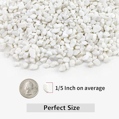 YISZM 5LB Succulent and Cactus Gravel Pebbles, 1/5 Inch White Natural Decorative Polished Stones, River Rocks for Plants, Vases, Aquariums, Terrarium and Outdoor Gardening