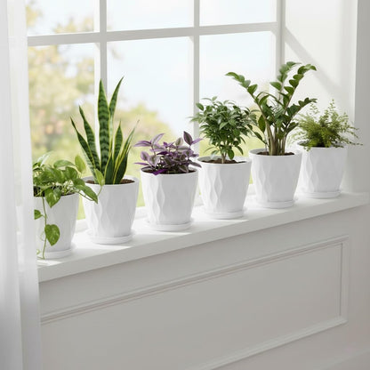 LESOASIS Plant Pots 8 Inch, 6 Pack Plastic Flower Pots for Indoor & Outdoor Plants, Planters with Drainage Holes and Saucer, Garden Pot for Plants (White)