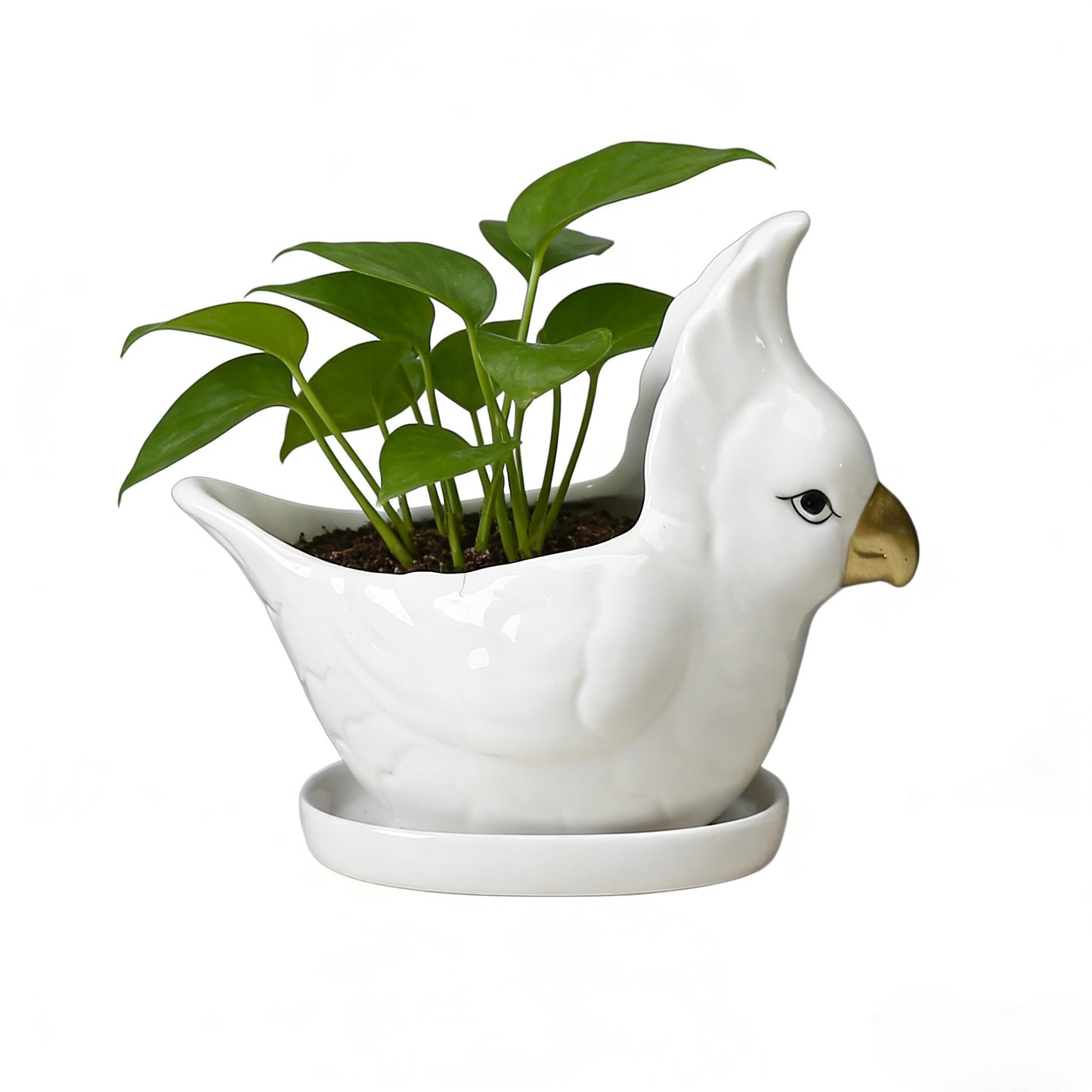 YANGMEI Ceramic Bird Planter Pot with Saucer, Drainage Hole Design, Cute Animal Succulent Pot for Indoor/Outdoor, Great Gift for Plant Lovers, Home Garden & Office Décor（White）