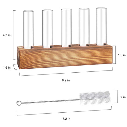 Renmxj Plant Propagation Station, Plant Terrarium with Wooden Stand for Hydroponics Plants Office Decor Unique Gardening Gifts for Women Plants Lovers - 10 Glass Test Tube Vases