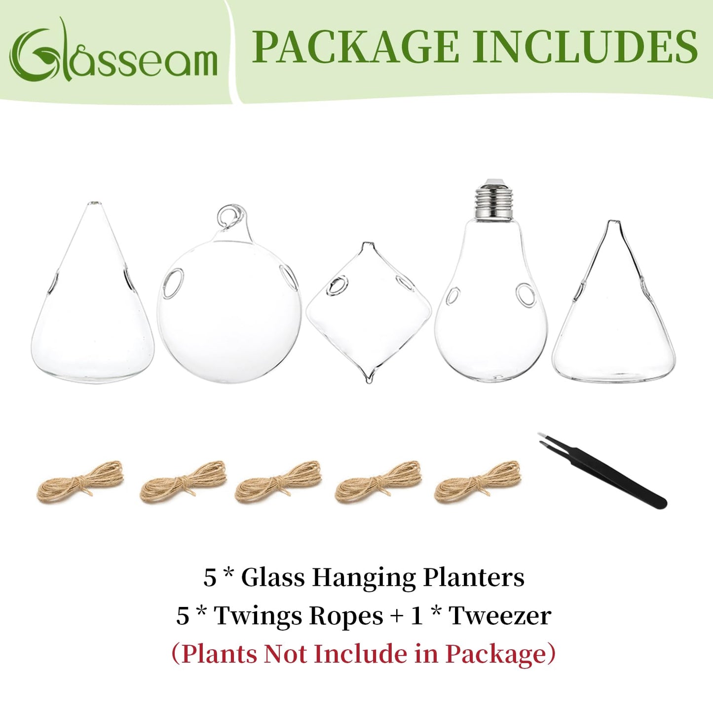 Glasseam Hanging Planters Glass Terrarium: 5Pcs Modern Plant Propagation Stations Hydroponic Wall Vases for Air Plants Flowers Indoor Window Home Decor