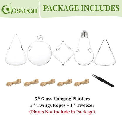 Glasseam Hanging Planters Glass Terrarium: 5Pcs Modern Plant Propagation Stations Hydroponic Wall Vases for Air Plants Flowers Indoor Window Home Decor