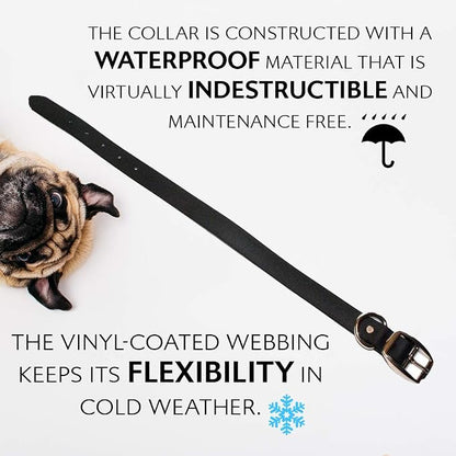 Regal Dog Products Large Black Waterproof Dog Collar and Leash Set | Heavy Duty Double Buckle & D Ring - 5'ft Leash | Adjustable Biothane Dog Collar | Chew Resistant Waterproof Collar for Dogs