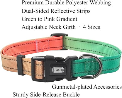 Dog Collar Leash Set, Gradient Color, with Safety Reflective Strips, 5 ft Matching Leash, Neoprene Padded Handle, Adjustable 4 Sizes for Small Medium Large Dogs.(L, Green Orange)