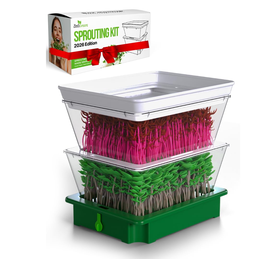 ZESTIGREENS 2-Tier Sprouting Kit - Stackable Seed Sprouter Trays with Drain Spout - Grow Fresh Sprouts at Home - BPA-Free