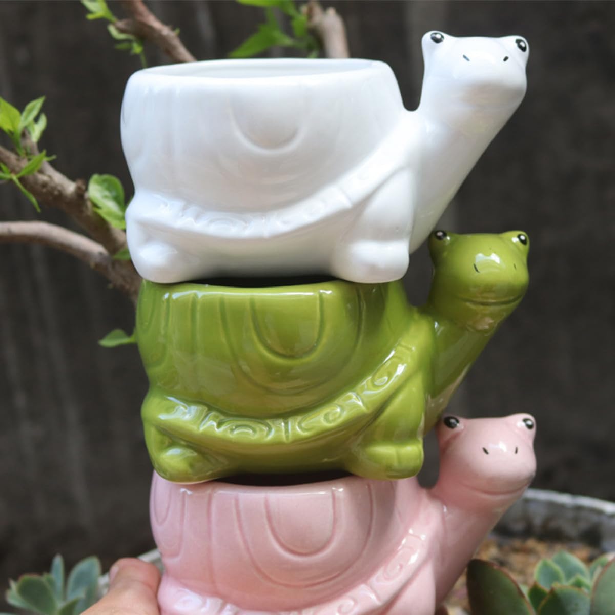 minkissy Ceramic Turtle Succulent Planter Pot for Indoor Home Office, White Cartoon Animal Flower Container, Creative Small Decorative Pot for Succulent Plants