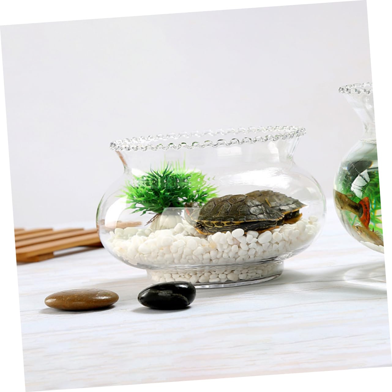 SEWOART 2pcs Glass Fish Bowl for Hydroponic Plants Simple Design Bowl Multi-Functional Terrarium for Fish Shrimp and Home Floral Edge